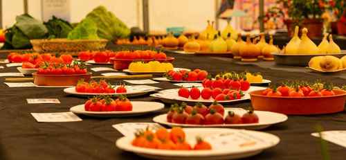 BroadwayFoodShow.jpg
