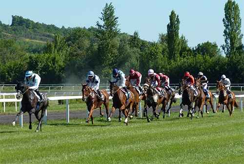Horse Racing at Cheltenham