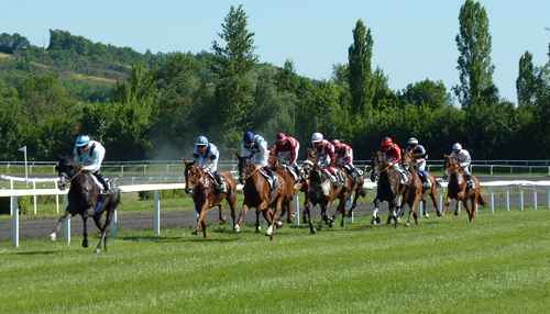 horse-race-1665688_1280.jpg