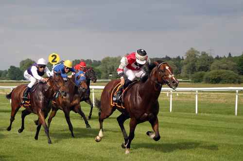horse-racing-2714846_1280.jpg