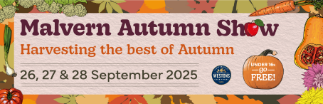 Malvern Autumn Festival