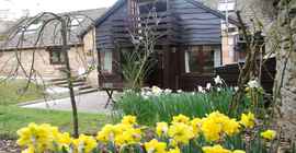 laburnum-cotswold-cottage-broadway-garden-daffodils_1920x1080.jpg