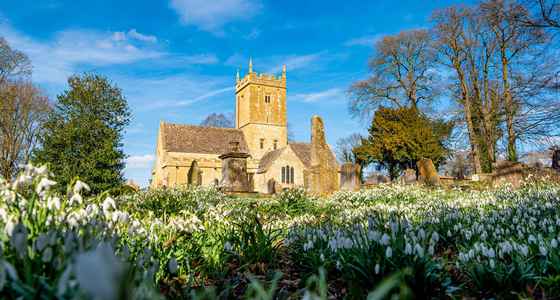 thumbnail_February St EadburghsChurch Snowdrops copy.jpg