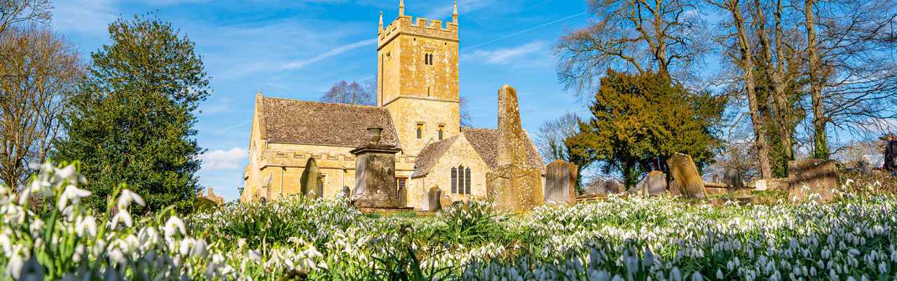 thumbnail_February St EadburghsChurch Snowdrops copy.jpg