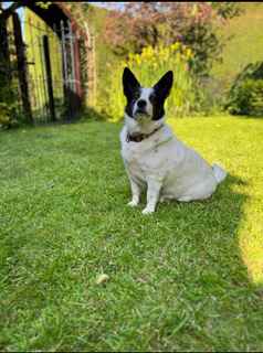 Cotswold Cottage Holiday